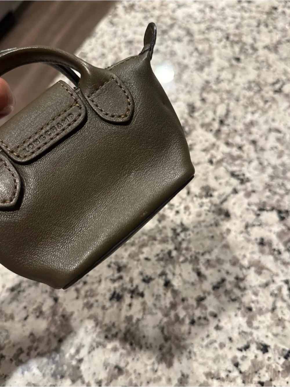 Longchamp Coin Pouch